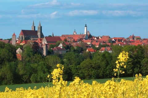From Würzburg: Romantic Road and Rothenburg Wine Trip