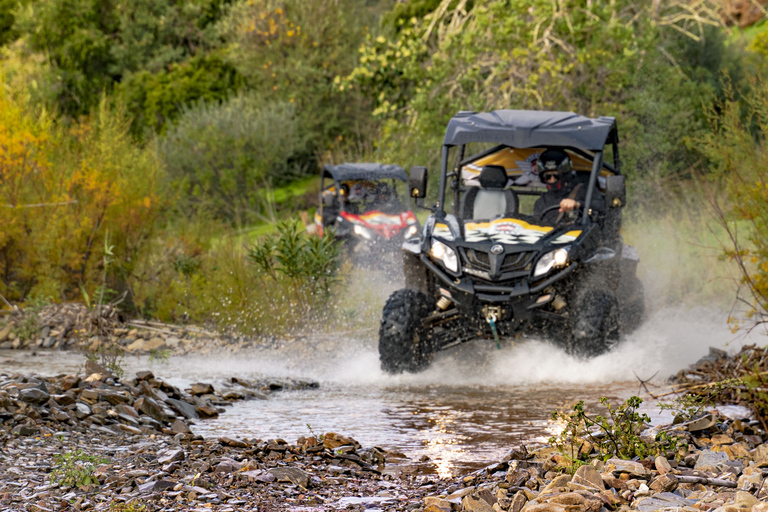 Albufeira: tour in buggy fuoristrada di un&#039;intera giornata con pranzo e guidaBuggy singolo