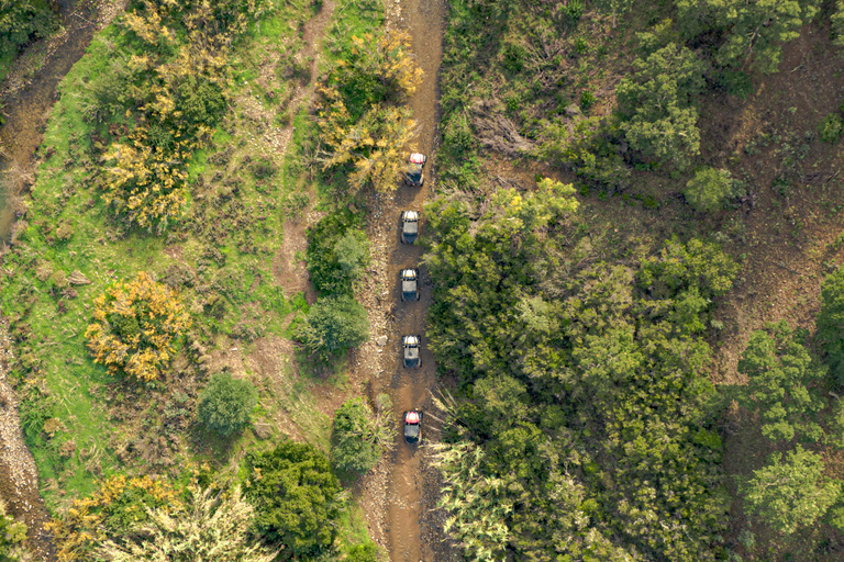 Albufeira: Heldags offroad-buggytur med lunch och guideEnstaka barnvagn