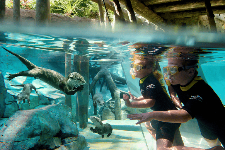 Orlando: Discovery Cove Admission Ticket & Additional Parks Discovery Cove Day Resort Only - (No Swim)