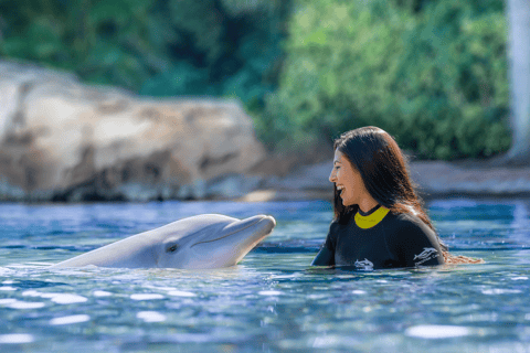 Orlando: Discovery Cove Admission Ticket & Additional Parks Discovery Cove Day Resort Only - (No Swim)