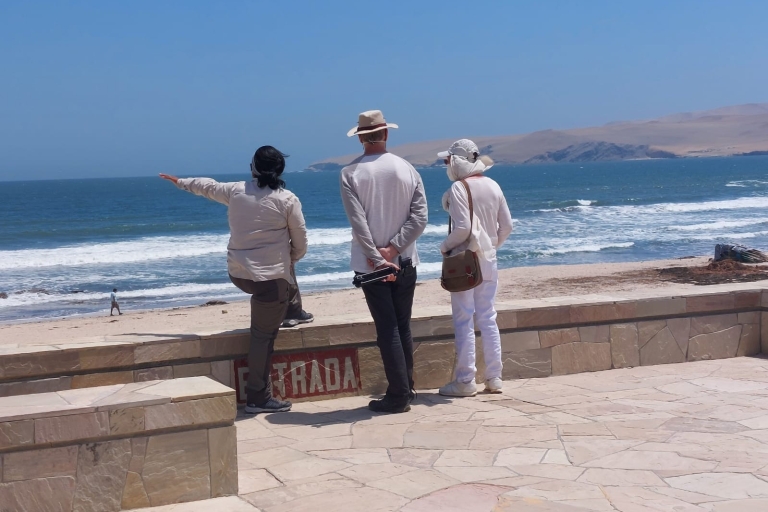 Z Paracas: prywatna wycieczka po rezerwacie narodowym Paracas