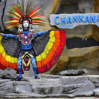 Cozumel: Chankanaab Park General Admission Entry Ticket