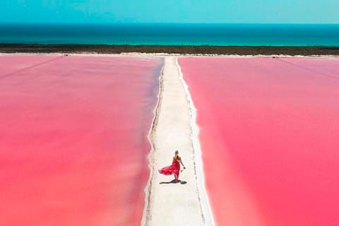From Cancún: Rio Lagartos & Las Coloradas Day Trip & Lunch