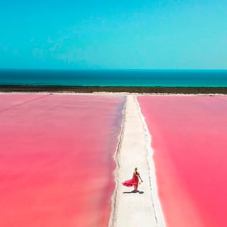 Da Cancún: gita di un giorno e pranzo a Rio Lagartos e Las Coloradas