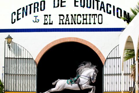 Andalusian hevos- ja flamenconäyttely Malagassa