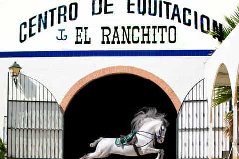 Andalusian Horse and Flamenco Show