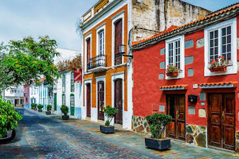 Mercadillos de Domingo: Santa Brígida, San Mateo y TerorTour en INGLÉS