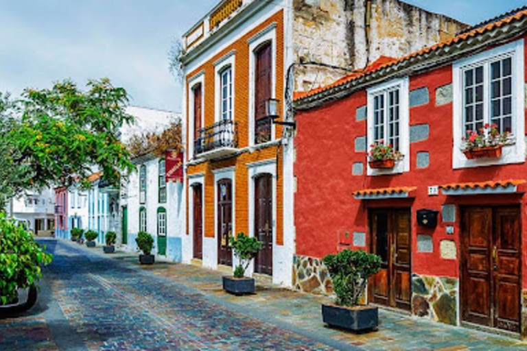 Mercadillos de Domingo: Santa Brígida, San Mateo y TerorTour en INGLÉS