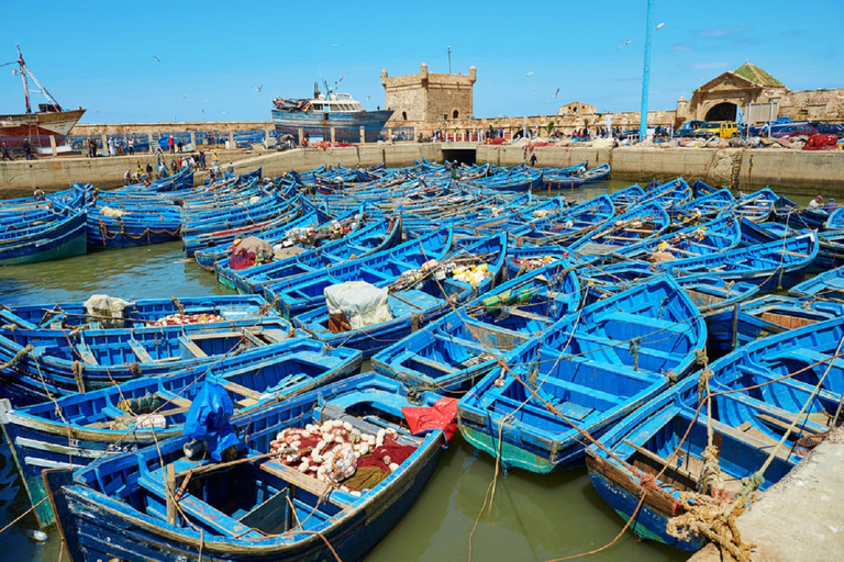 From Agadir: Essaouira Excursion Full Day Trip Taghazout Departure