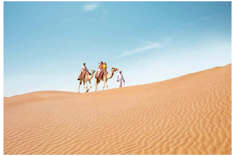 Doha: Half-Day Private Desert Safari and Inland Sea Tour