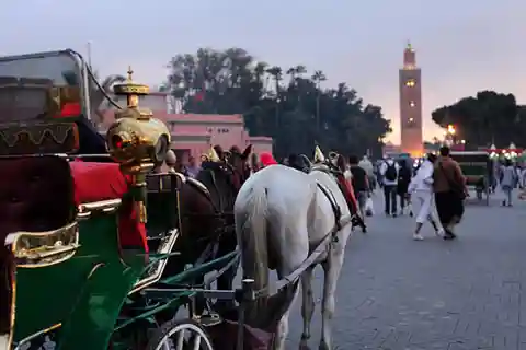 Marrakech: 1-Hour Traditional Horse-Drawn Carriage Tour