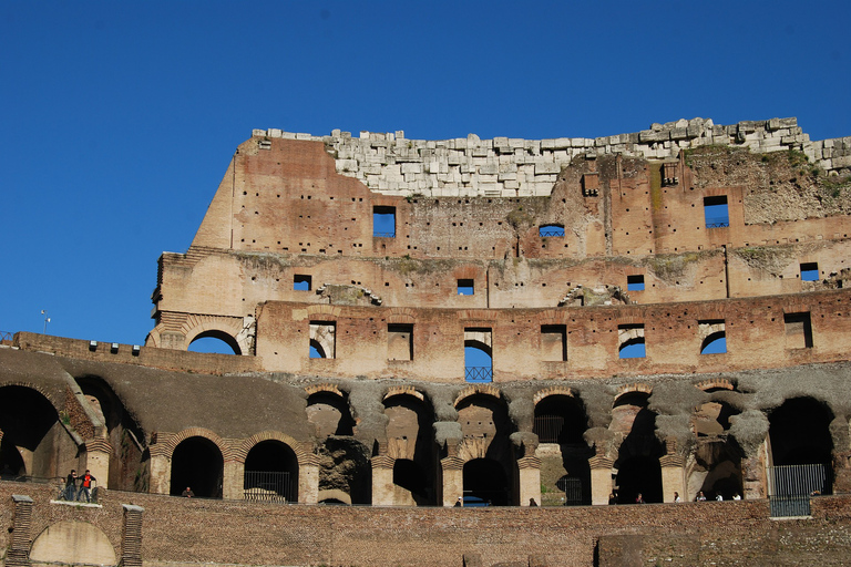 Rome: Colosseum Express, Access Roman Forum, & Palatine Hill