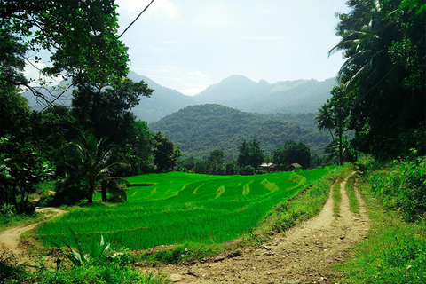 From Kandy: Wasgamuwa Safari & Rathna Ella Waterfall Tour