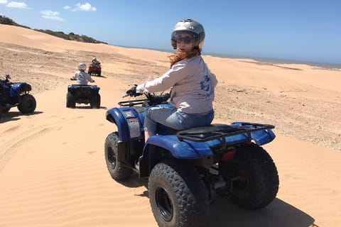 Excursões de um dia