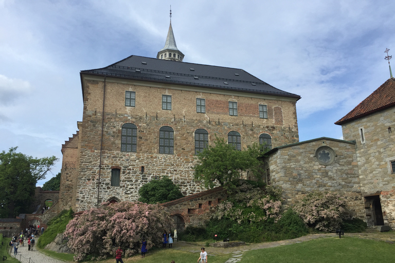 Oslo: Panoramic Sightseeing Tour