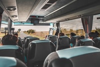 From London, Half-Day Trip to Windsor with Castle Tickets - Hizvo