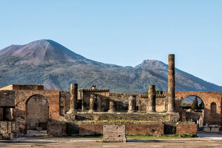 Z Neapolu: całodniowa wycieczka po Pompejach, Sorrento + Positano
