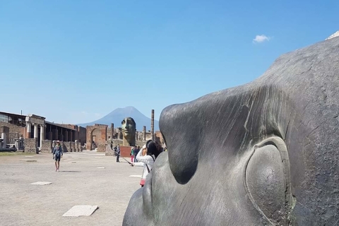 Von Rom aus: Neapel und Pompeji Tagesausflug & geführte private TourTour auf Englisch