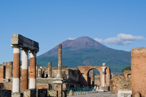 Von Rom aus: Neapel und Pompeji Tagesausflug & geführte private TourTour auf Englisch