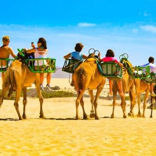 Maspalomas: E-sykkeltur med kameltur