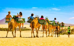  - Canarie.it