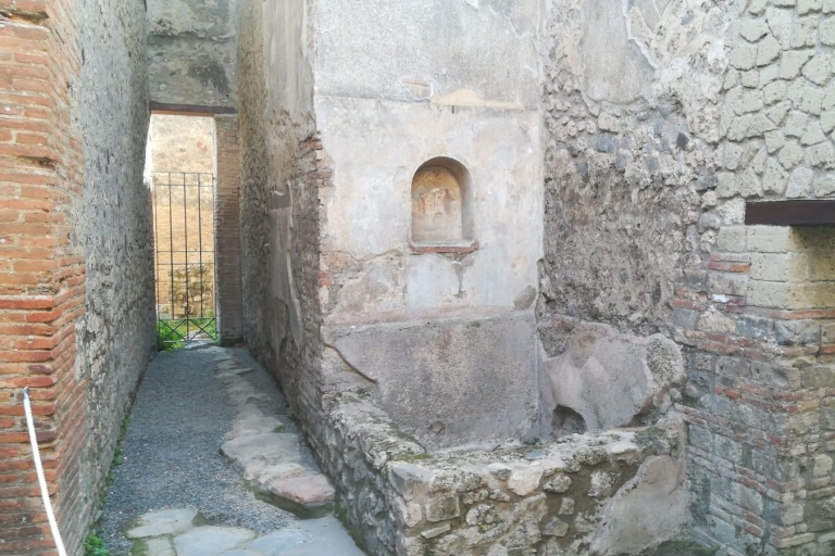 De Naples: visite archéologique des champs Phlégréens et de Baia