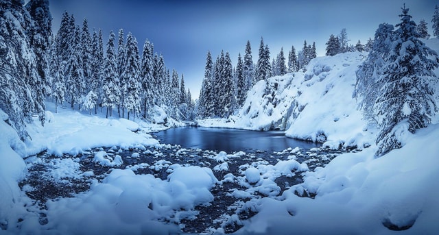 Rovaniemi: 3-Hour Tour of a Movie-Like Snowy Forest