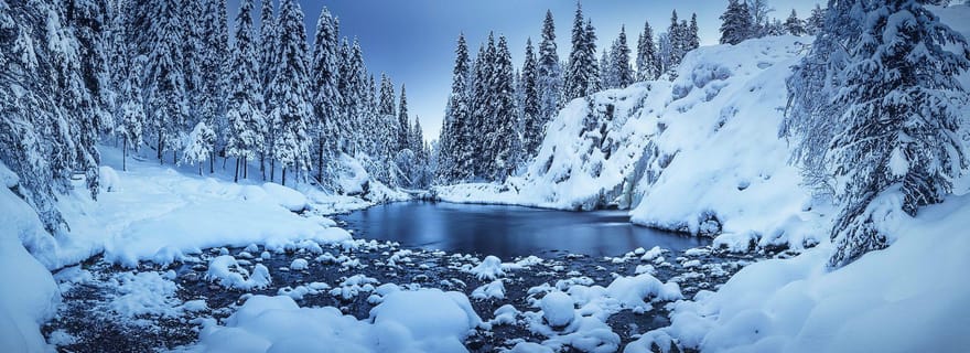 Rovaniemi : visite de 3 heures dans une forêt enneigée