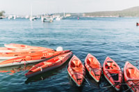 Manly, Mini Kayak Tour sul North Harbour di Sydney - Hizvo