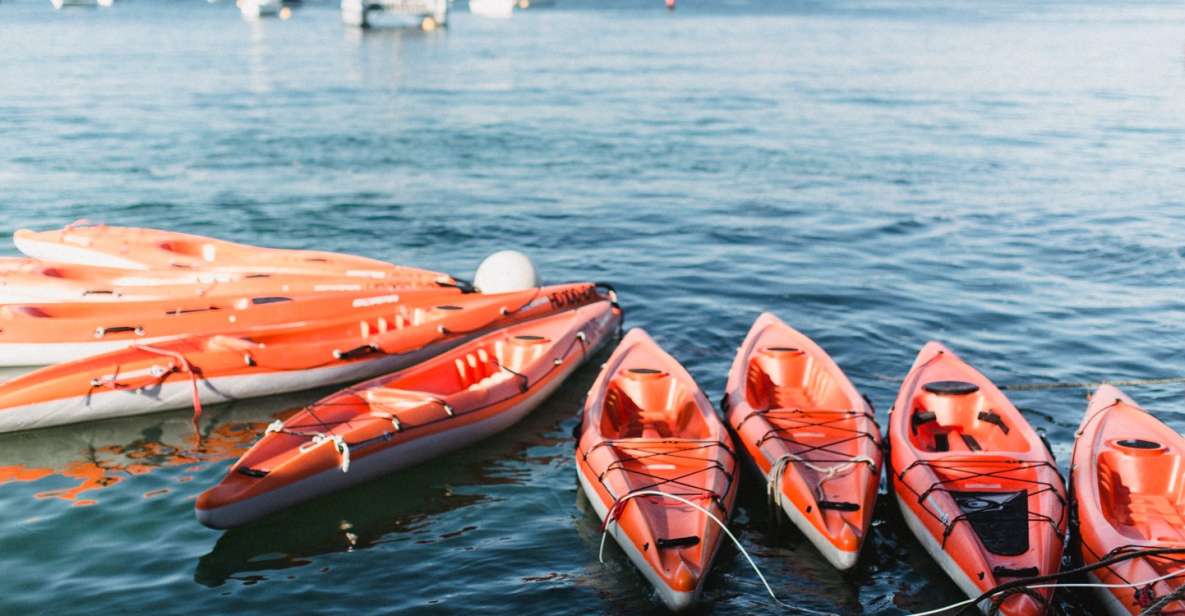 Double Kayak Hire, 4 Hours - Sydney Harbour, Manly - Adrenaline