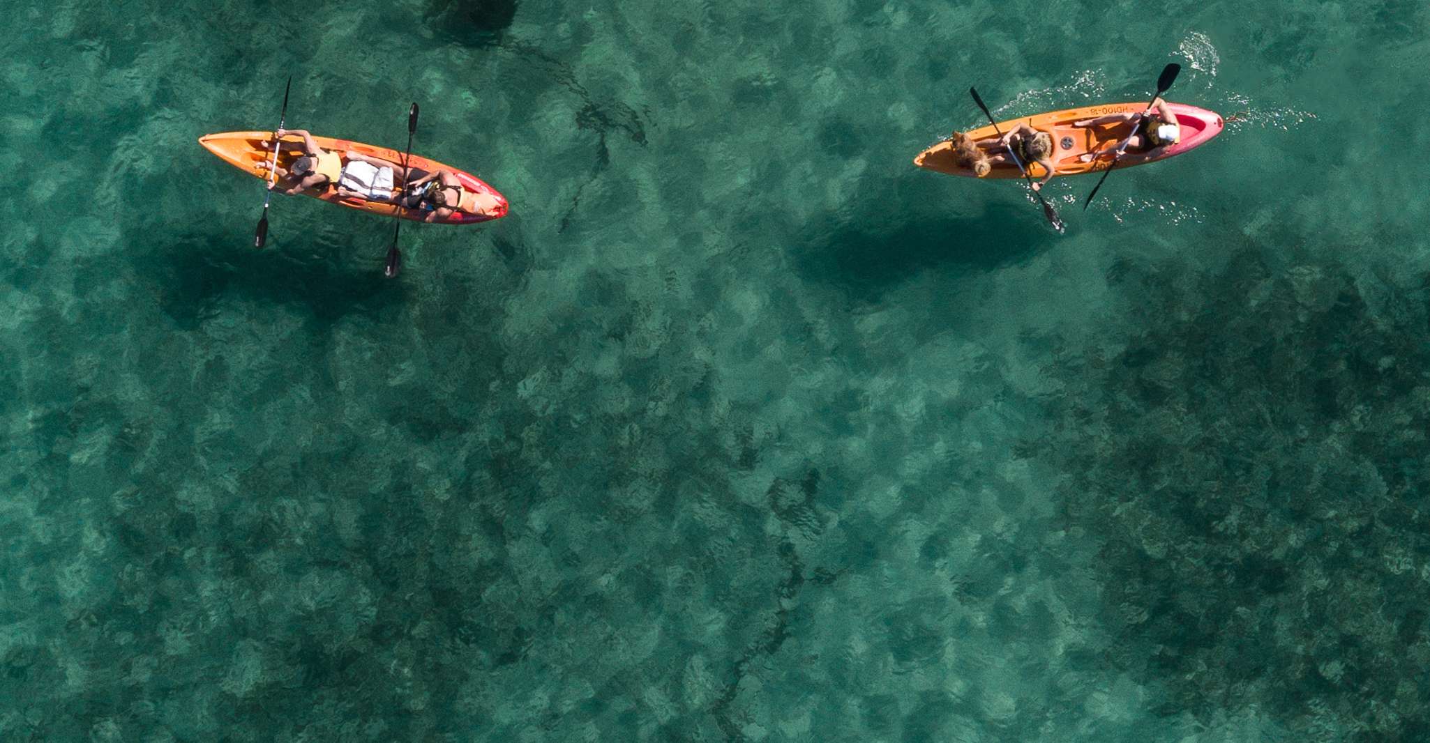Manly, Mini Kayak Tour sul North Harbour di Sydney - Hizvo