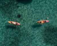 Manly, Mini Kayak Tour sul North Harbour di Sydney - Hizvo
