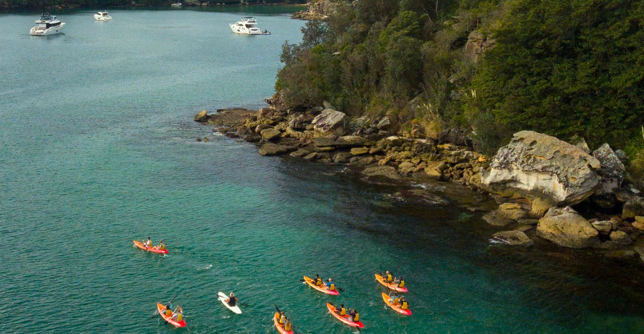 Manly, Mini Kayak Tour sul North Harbour di Sydney - Hizvo