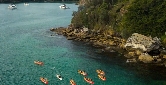 Manly: Mini Kayak Tour on Sydney&#39;s North Harbour