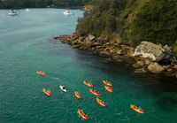 Manly, Mini Kayak Tour sul North Harbour di Sydney - Hizvo