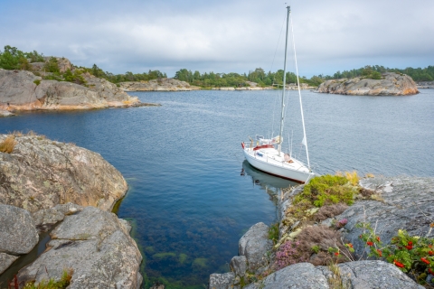 Stockholm: Schären-Segeltour mit Mittagessen und Inselrundfahrt