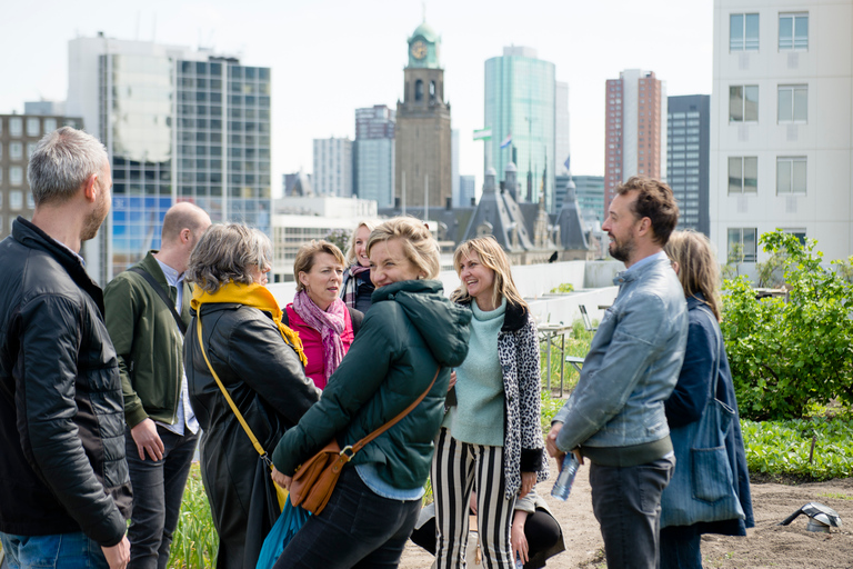 Rotterdam: Visita exclusiva a la azotea con vistas de 360˚.Rotterdam: Visita exclusiva a la azotea