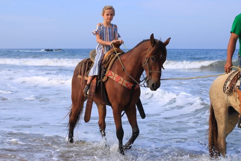 Horseback Riding