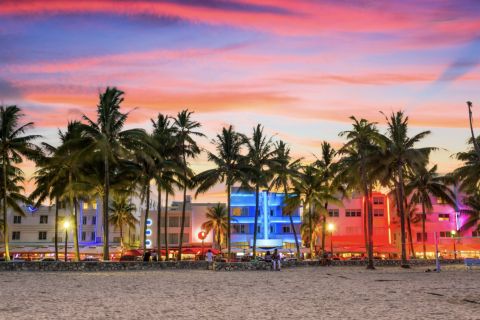 Майами: дневной и ночной тур с круизом и колесом просмотра неба