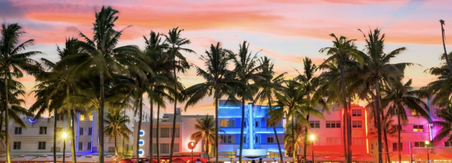 Miami: Day and Night Tour with Cruise and Skyviews Wheel