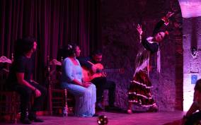 Barcelona: Flamenco Show at Palau Dalmases