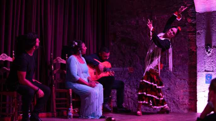 Barcelona: Espectáculo Flamenco en el Palau Dalmases
