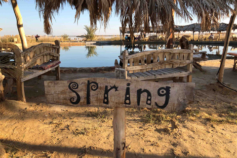 Dal Cairo: museo di 3 giorni, tour del forte e del deserto all&#039;oasi di SiwaDal Cairo: tour di 3 giorni del museo, del forte e del deserto all&#039;oasi di Siwa