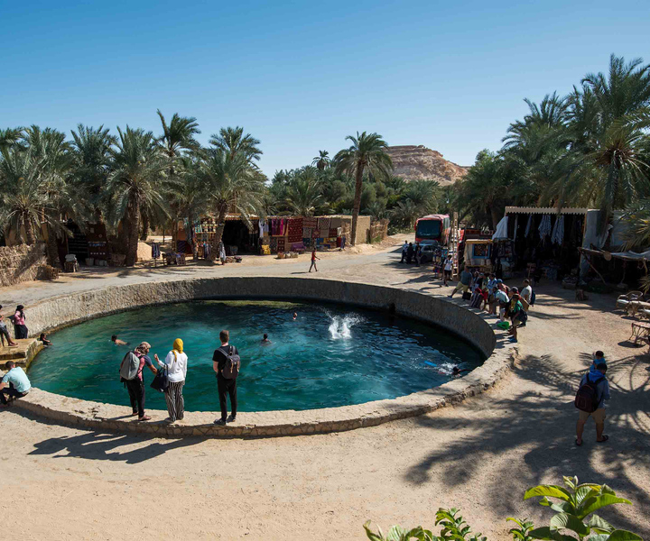 Dal Cairo: museo di 3 giorni, tour del forte e del deserto all'oasi di Siwa