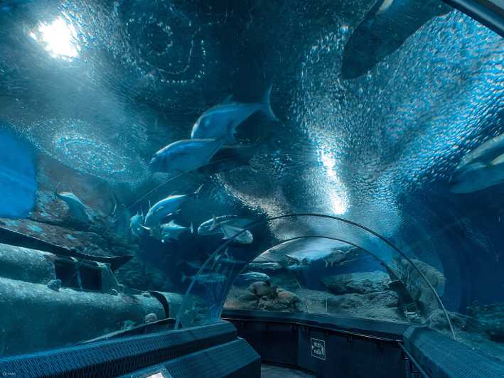 Pattaya: Biglietto d'ingresso all'acquario Underwater World Pattaya