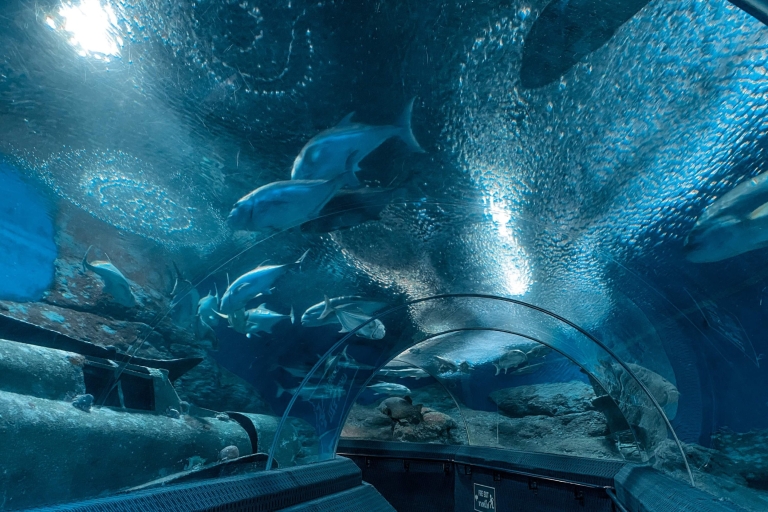Pattaya: entrada al acuario Underwater World Pattaya Aquarium