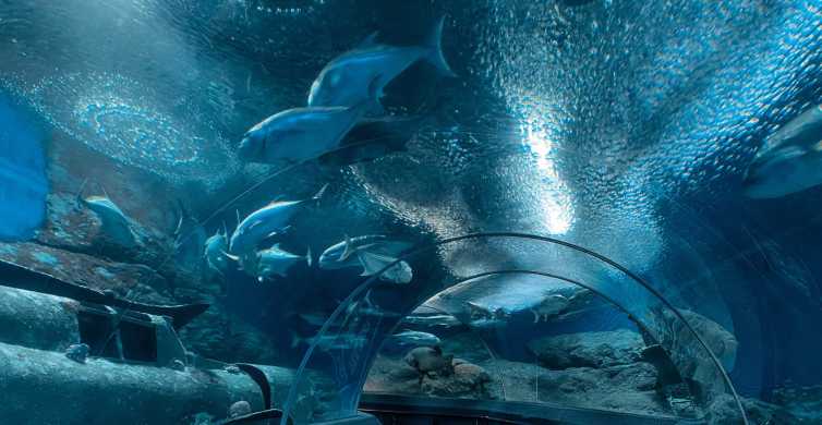 Pattaya Underwater World Aquarium Admission Ticket GetYourGuide