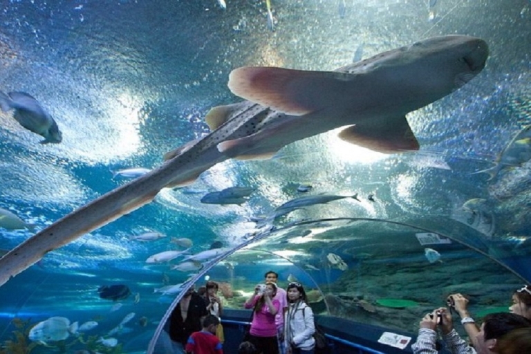 Pattaya: entrada al acuario Underwater World Pattaya Aquarium