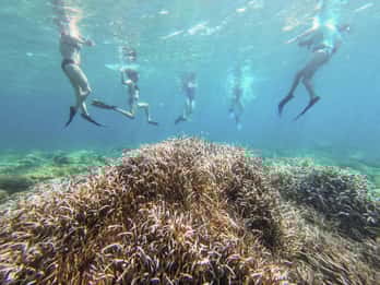Kayak&Snorkel Tour - The Secret of the Posidonia